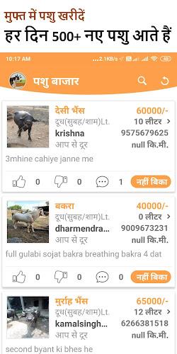 गाय भैंस  :  खरीदे बेचें 스크린샷 1