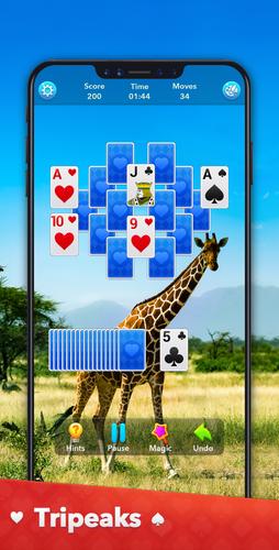 Solitaire Collection應用截圖第3張