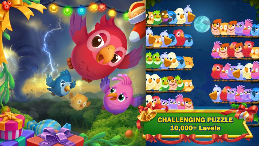 Bird Story Screenshot 4
