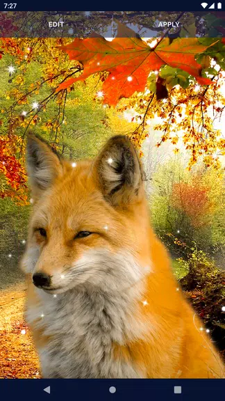 Parallax Nature Live Wallpaper應用截圖第4張