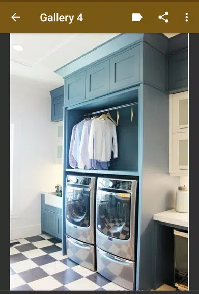 Laundry Room Organization應用截圖第4張