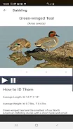 Ducks Unlimited應用截圖第4張