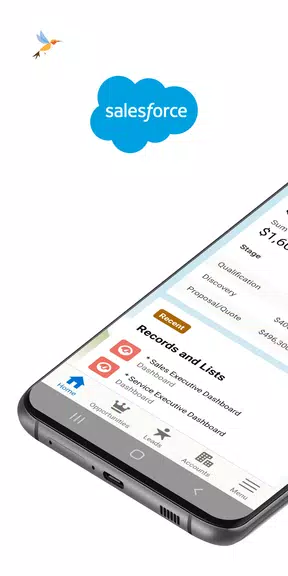 Salesforce Capture d’écran 1