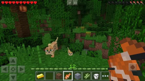 Why Creative Games Are So Addictive: An Opinion