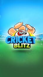 WCC Cricket Blitz Capture d'écran 1