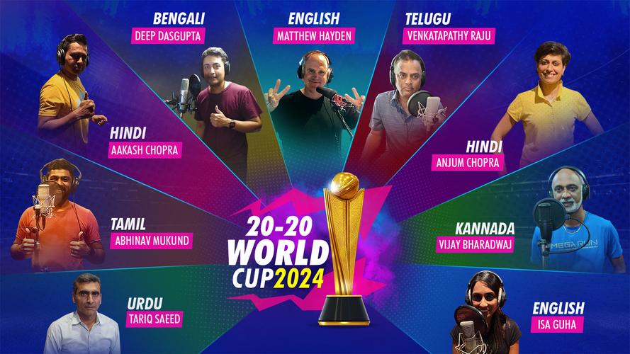 World Cricket Championship 3應用截圖第3張