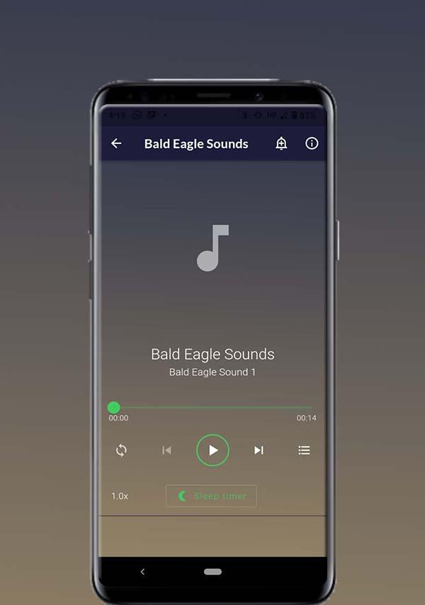 Bald Eagle Sounds Capture d’écran 2