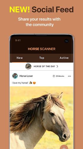 Horse Scanner スクリーンショット 4