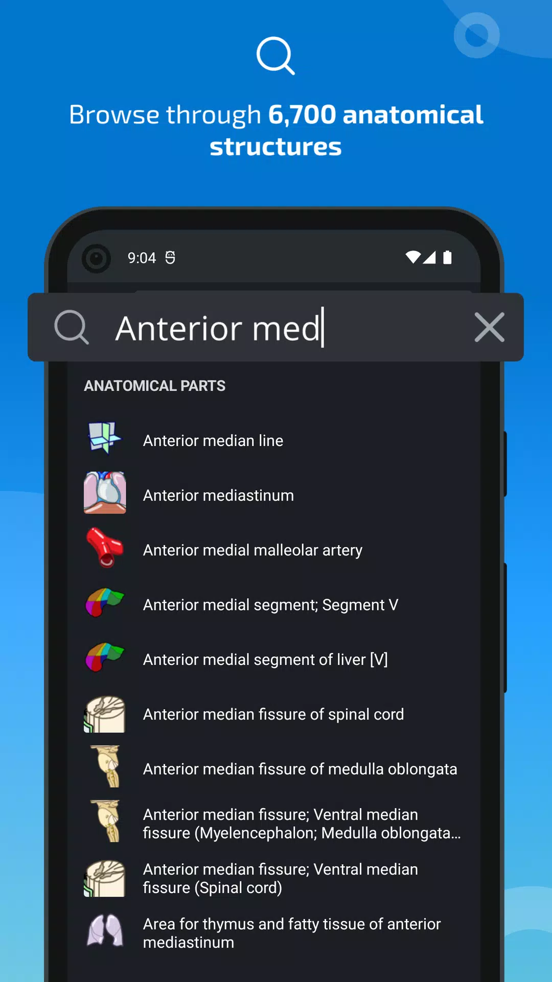 e-Anatomy應用截圖第3張