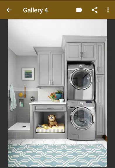 Laundry Room Organization應用截圖第3張