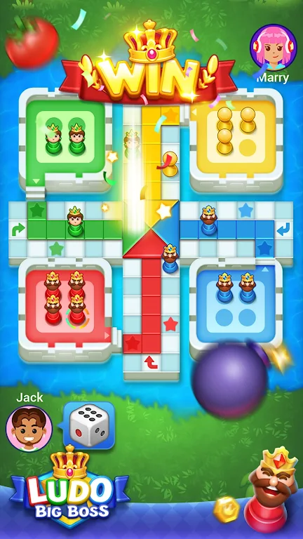 Ludo big boss應用截圖第2張