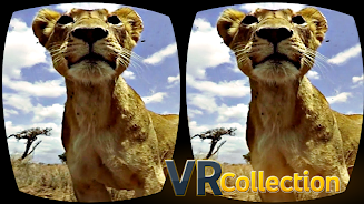 Pack of VR videos स्क्रीनशॉट 3