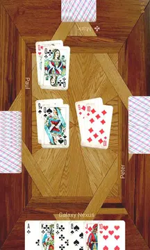 Durak plus Captura de tela 1