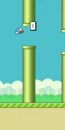 Flying Birdys應用截圖第2張