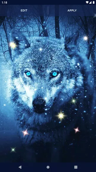 Night Wolf Live Wallpaper Скриншот 4