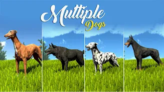 Wild Dog Pet Simulator Games Screenshot 1