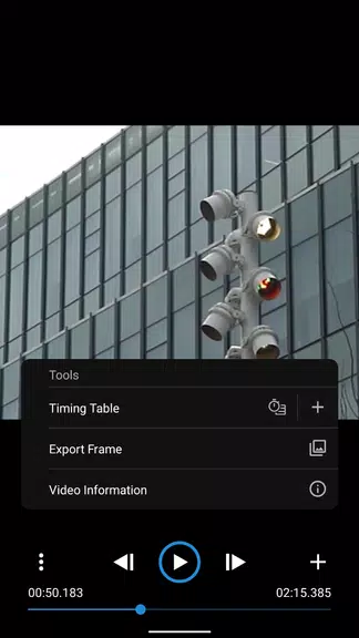 Frameskip - Video Timing Tool 스크린샷 2