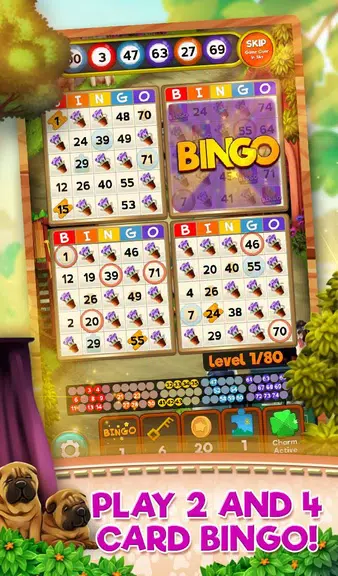 Bingo Pets Party: Dog Days Скриншот 1