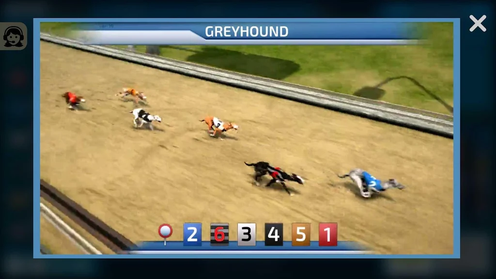 Dogs3D Races Betting स्क्रीनशॉट 2