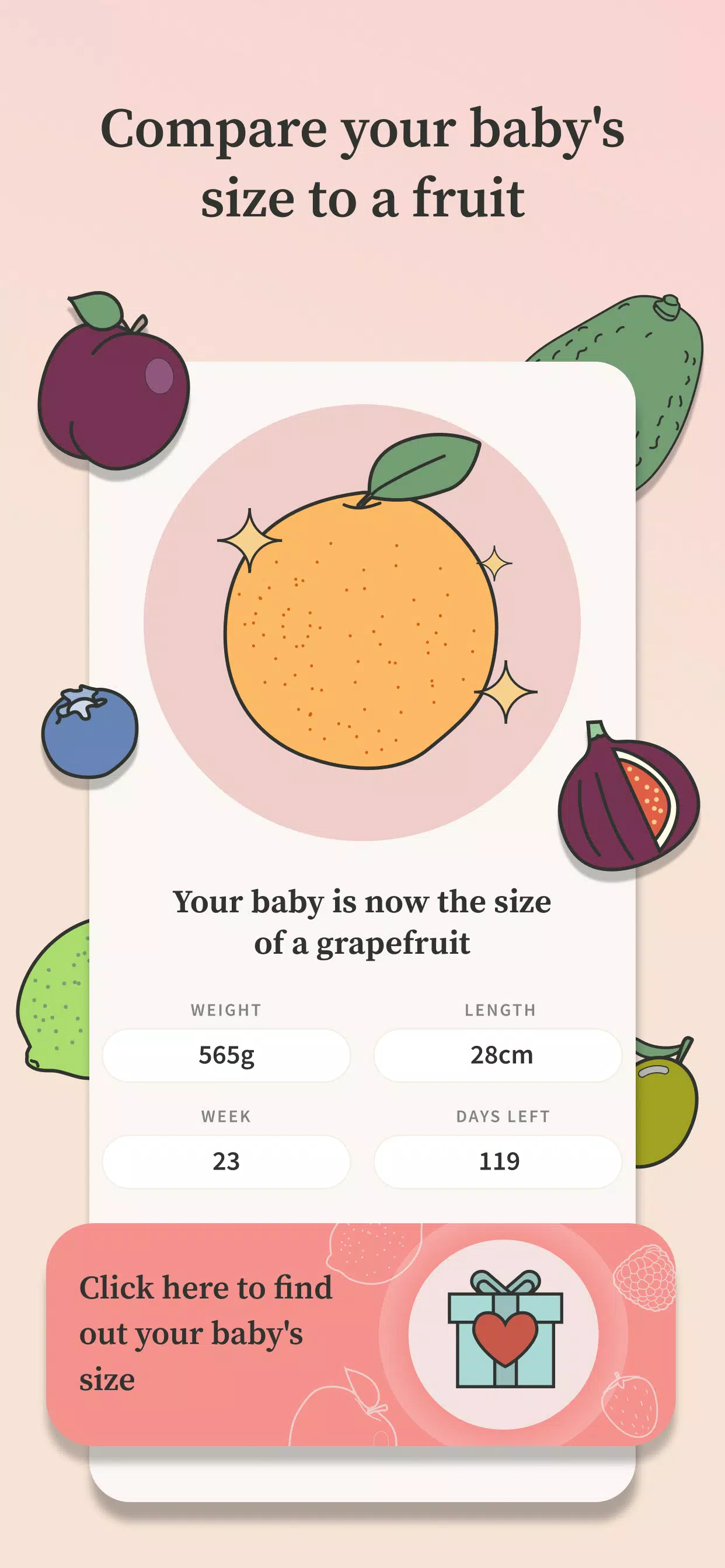 Preglife Captura de pantalla 4