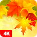 Automne fond d'écran 4K