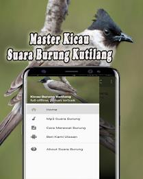 Suara Burung Kutilang Offline应用截图第1张