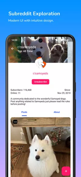 Infinity for Reddit Screenshot 1
