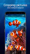 Underwater Wallpapers 4K स्क्रीनशॉट 4