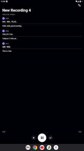 Litok: Record & Transcribe應用截圖第4張