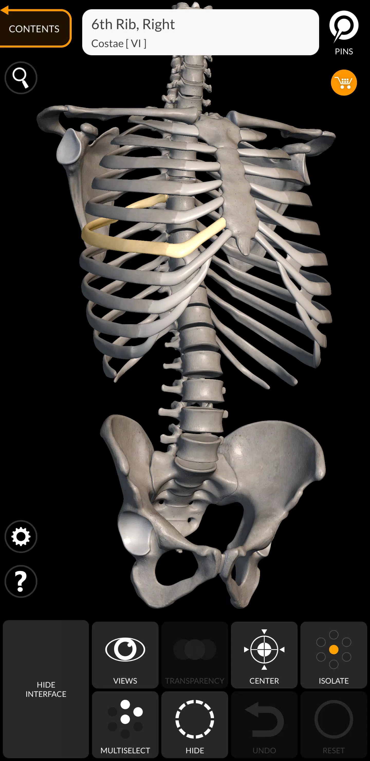 Skeleton应用截图第1张