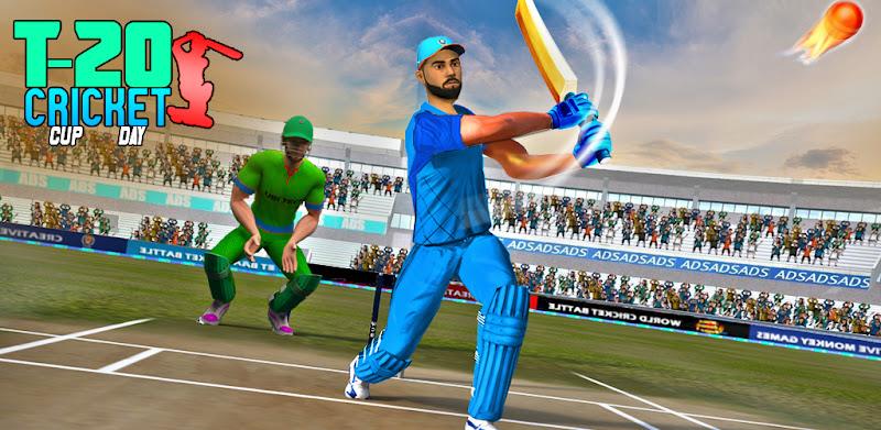 World Cricket Match Game Capture d'écran 3