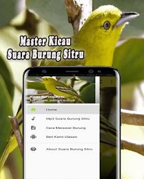 Suara Burung Sirtu Pikat MP3 Offline Screenshot 1