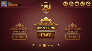 29 Royal Pro Card Game Offline Screenshot 3