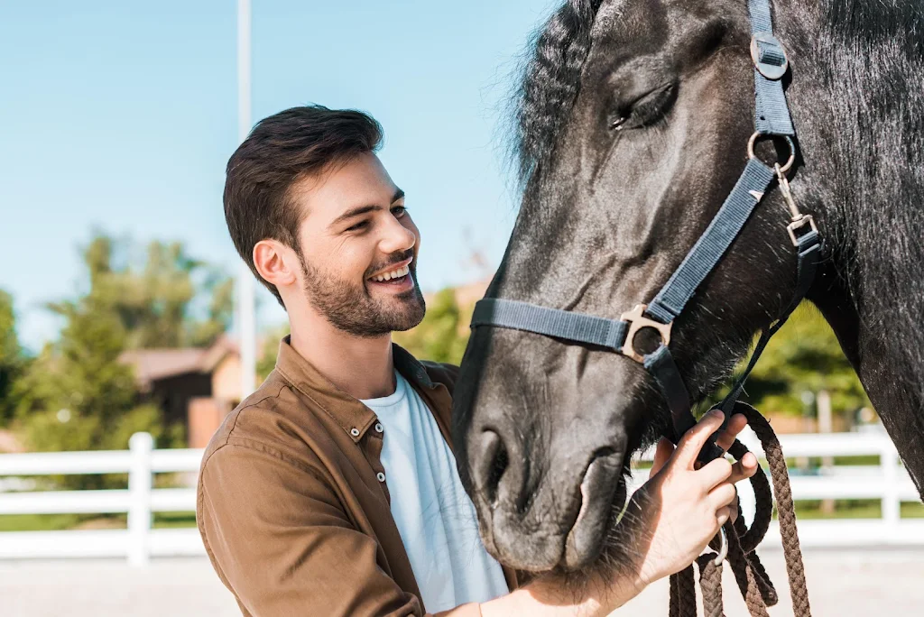 Equestrian Singles スクリーンショット 4