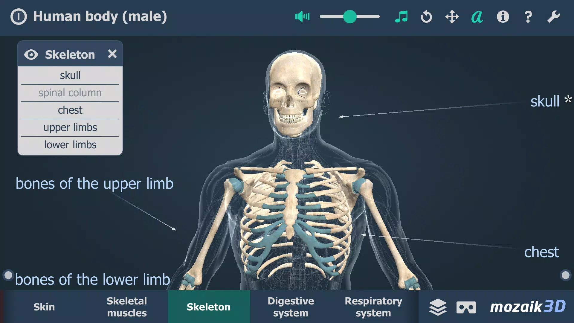 Le corps humain en 3D Capture d’écran 3