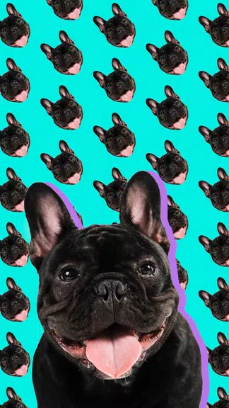 Patternator: Wallpaper Editor應用截圖第2張