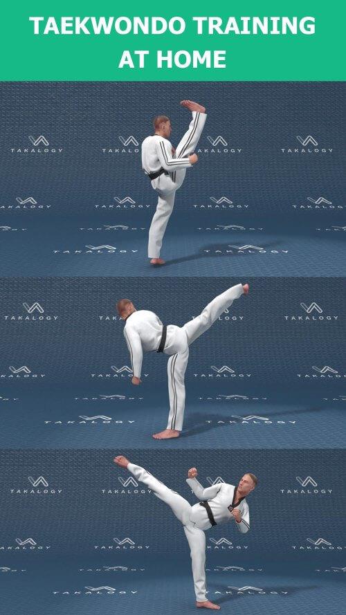 Mastering Taekwondo at Home應用截圖第2張
