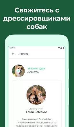 Dogo — Puppy and Dog Training Screenshot 2