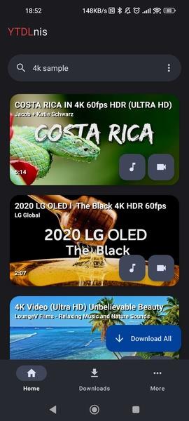 YTDLnis Screenshot 1