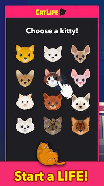 BitLife Cats - CatLife應用截圖第1張