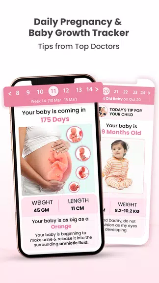 Healofy Pregnancy & Parenting应用截图第2张