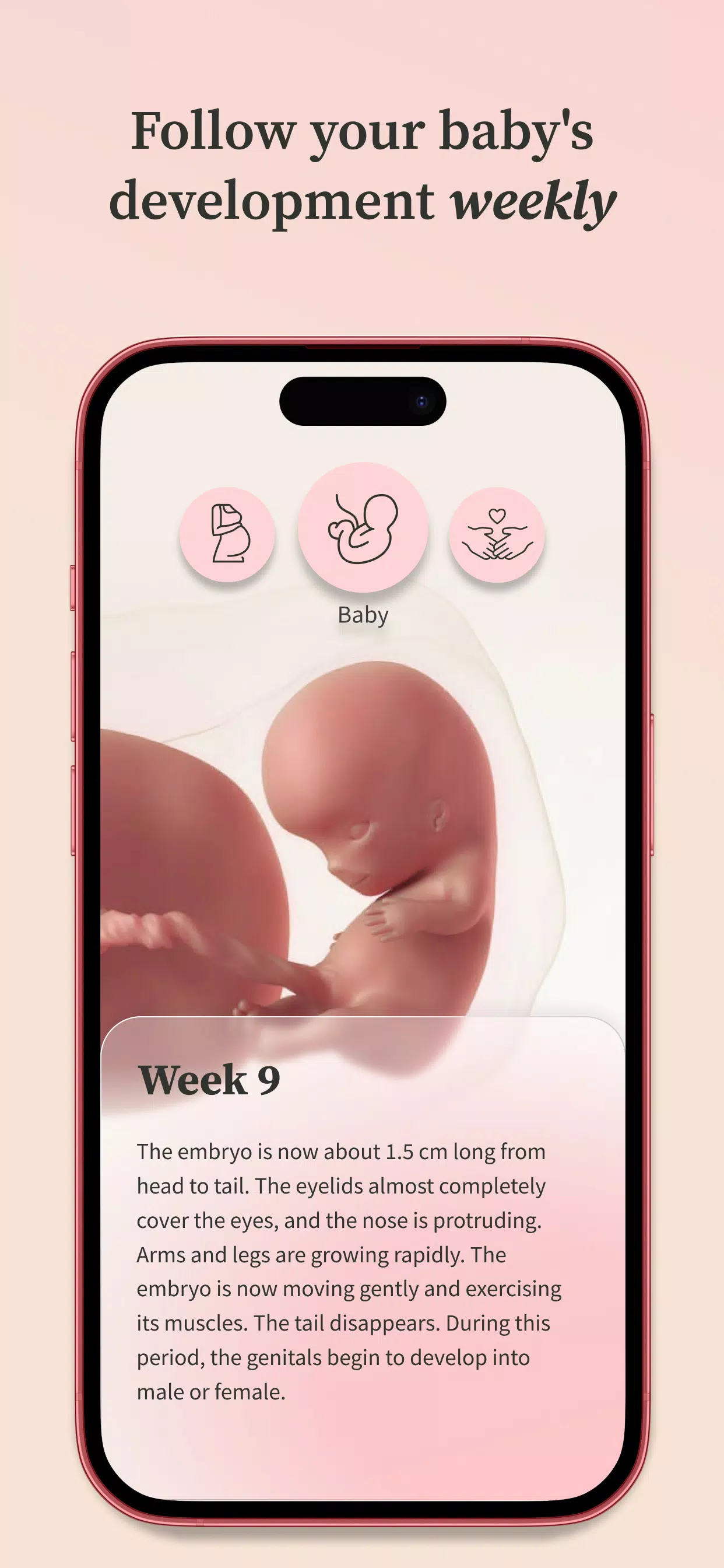 Preglife Captura de pantalla 3