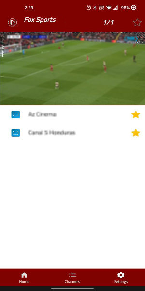 Totalsportek Player Screenshot 1