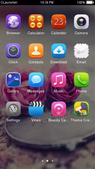 Pink Roses Theme C Launcher應用截圖第2張
