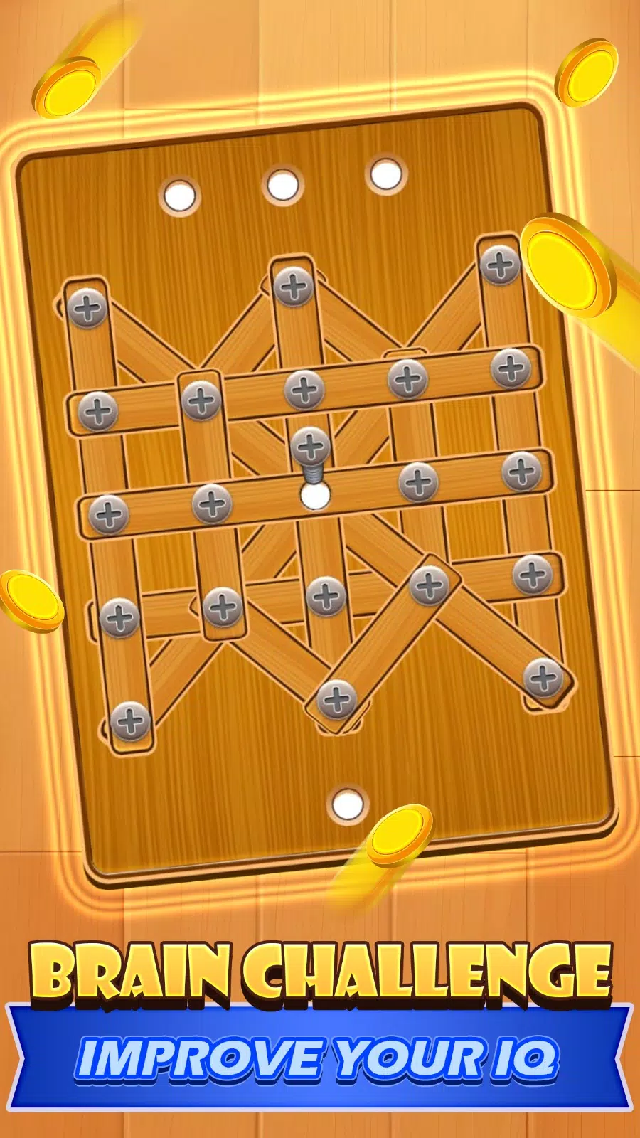 Screw Nuts & Bolt Puzzle應用截圖第3張