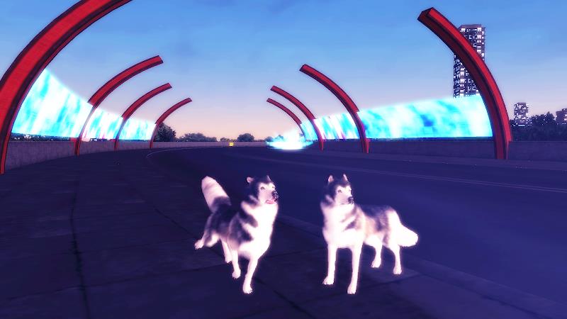 Husky Simulator Скриншот 2