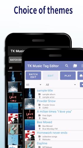 TK Music Tag Editor スクリーンショット 3