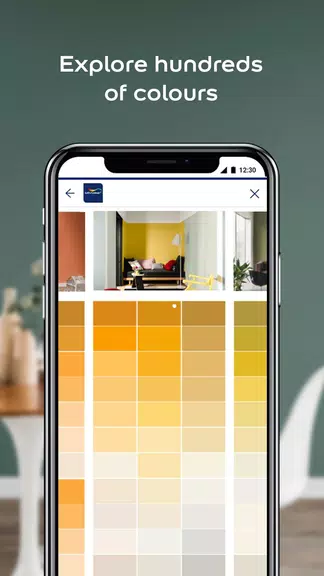 Dulux Visualizer ZA Captura de pantalla 2