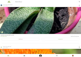 PlantNet Captura de pantalla 3