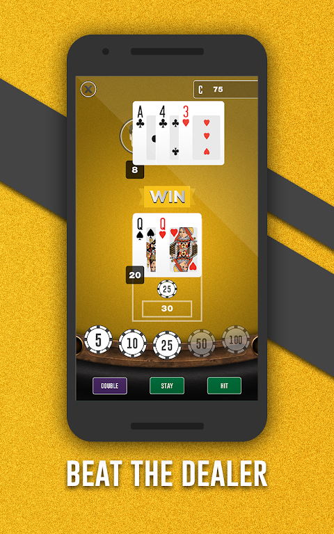 Fortune Joe Casino Скриншот 4